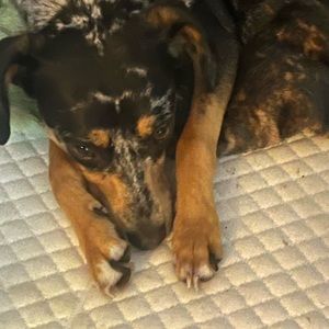 Meet your Posher, Kaitlin